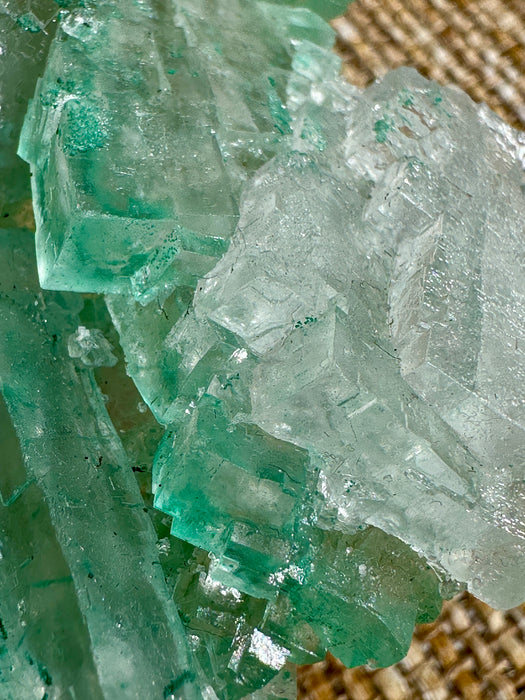 Green Halite Crystal Raw Specimen Cluster