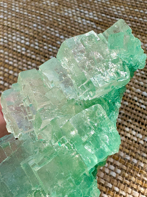 Green Halite Crystal Raw Specimen Cluster