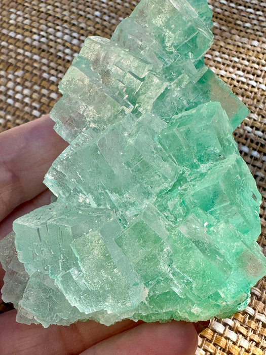 Green Halite Crystal Raw Specimen Cluster