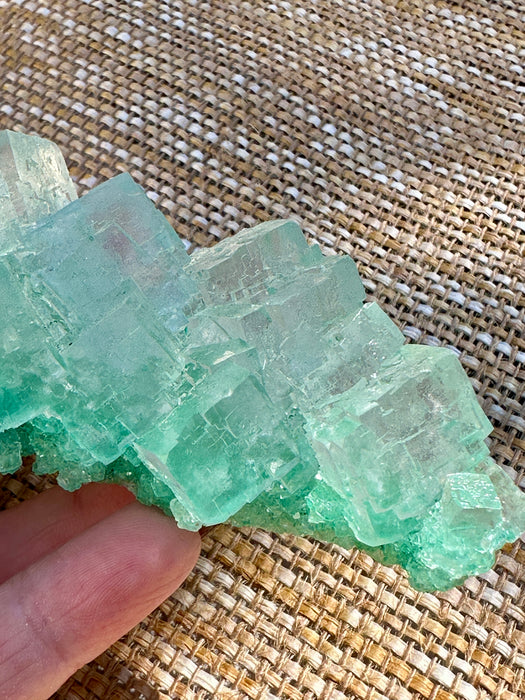 Green Halite Crystal Raw Specimen Cluster