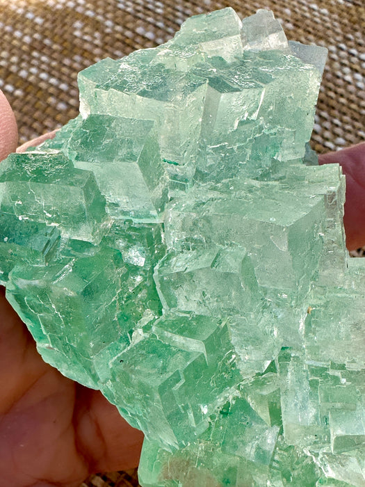 Green Halite Crystal Raw Specimen Cluster