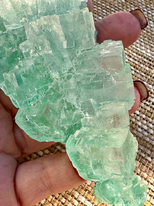 Green Halite Crystal Raw Specimen Cluster