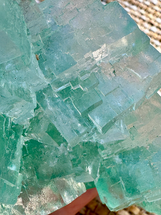 Green Halite Crystal Raw Specimen Cluster