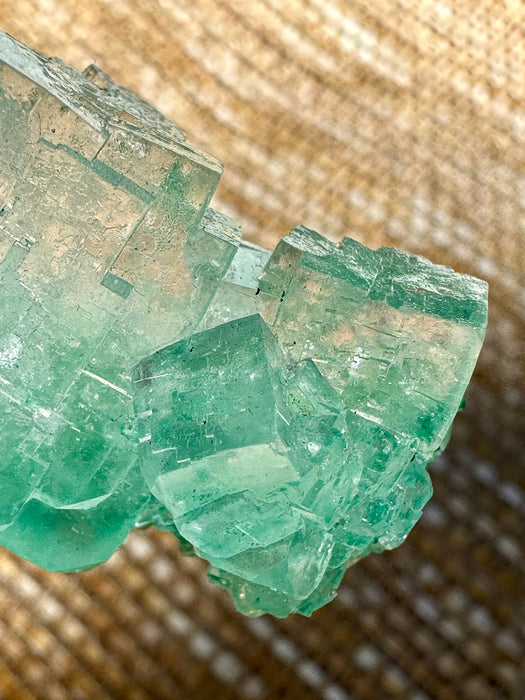 Green Halite Crystal Raw Specimen Cluster