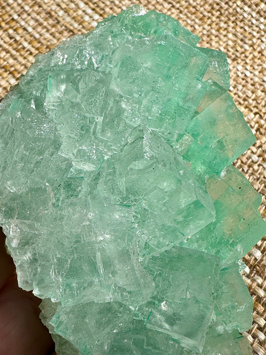 Green Halite Crystal Raw Specimen Cluster