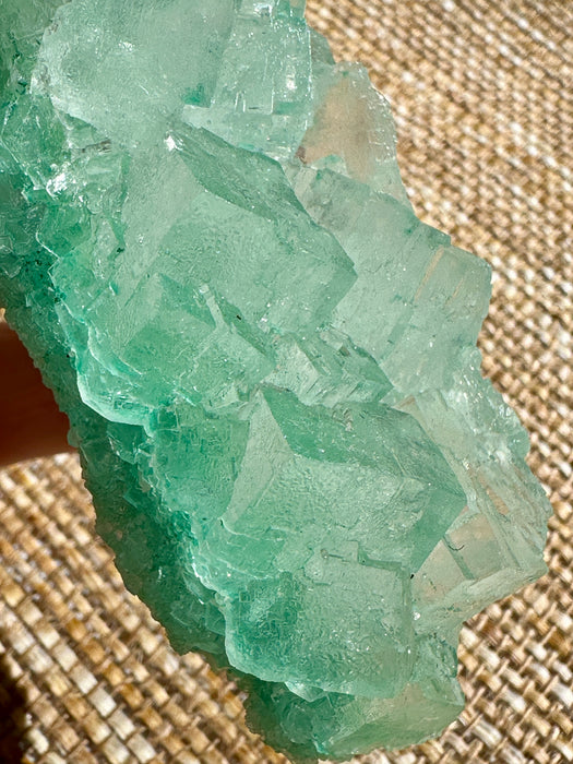 Green Halite Crystal Raw Specimen Cluster