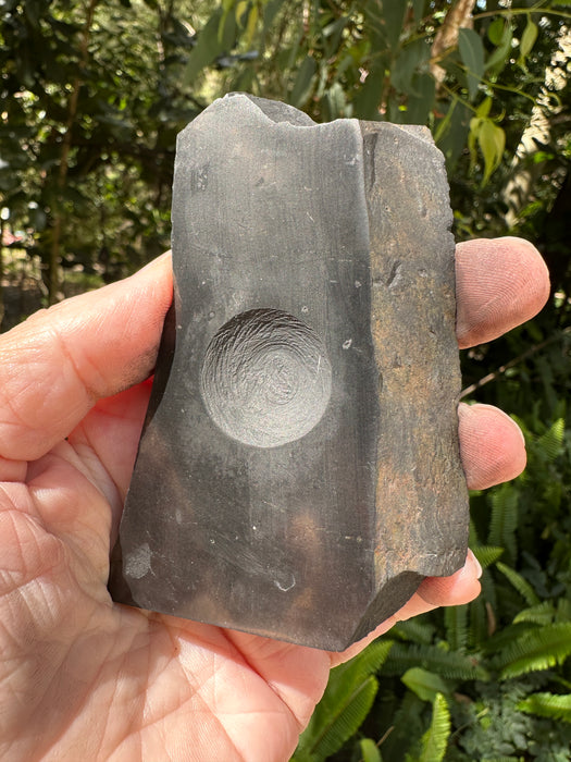 Shungite Sphere Stands - Various Choices