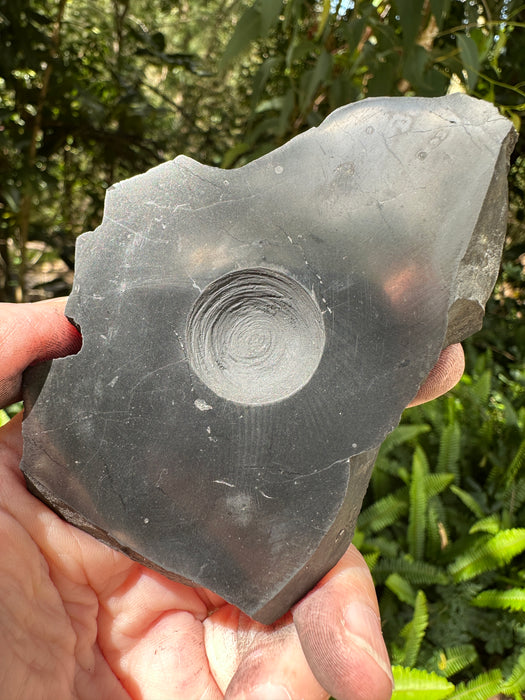 Shungite Sphere Stands - Various Choices