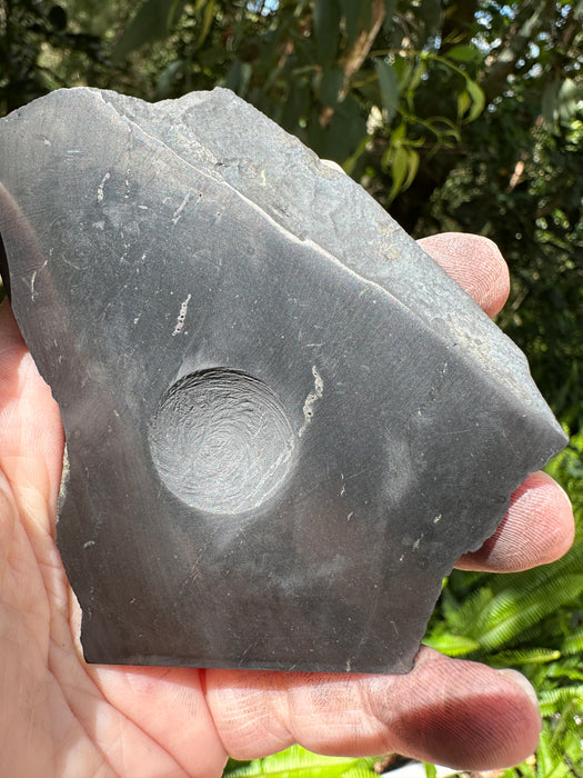 Shungite Sphere Stands - Various Choices