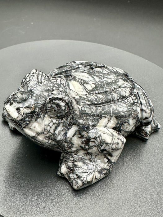 Picasso Jasper Frog Crystal