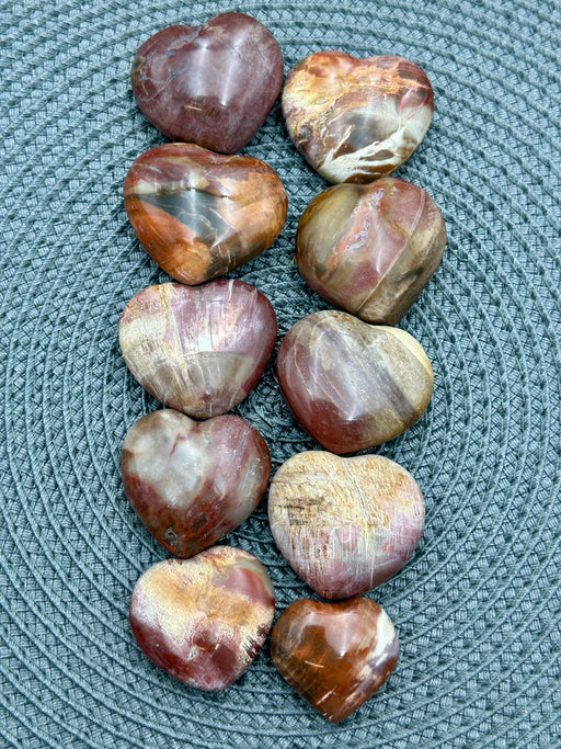 Petrified Wood Hearts