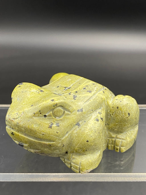 Serpentine Crystal Frog Toad