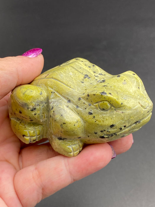 Serpentine Crystal Frog Toad