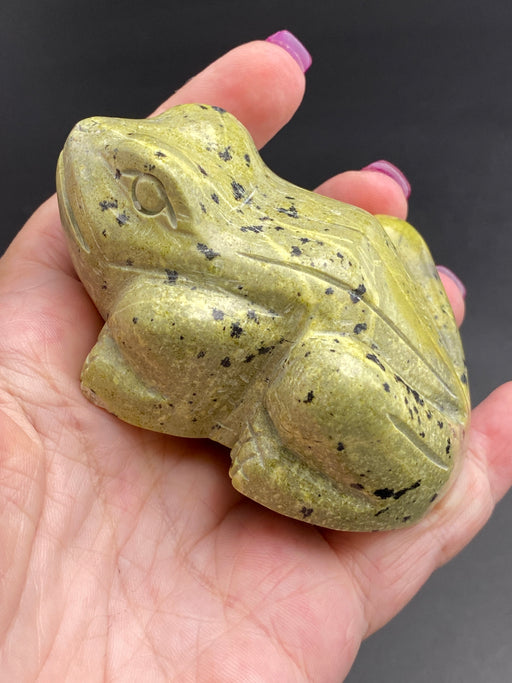 Serpentine Crystal Frog Toad