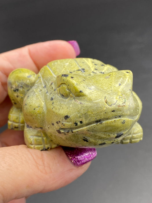 Serpentine Crystal Frog Toad