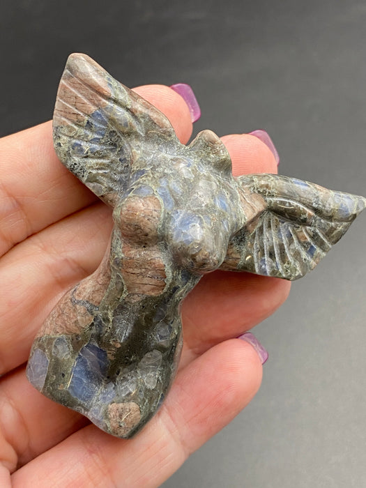 Assorted Winged Angels