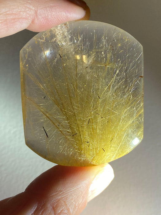 Gold Rutile Crystal