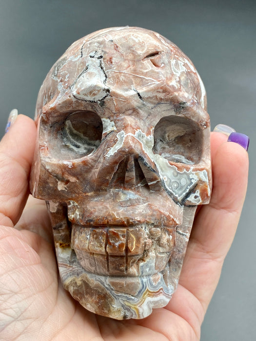 Mexico Crazy Lace Agate Skull
