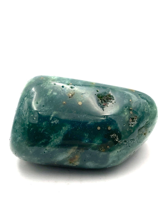 Moss Agate Large Tumble Palm Stone