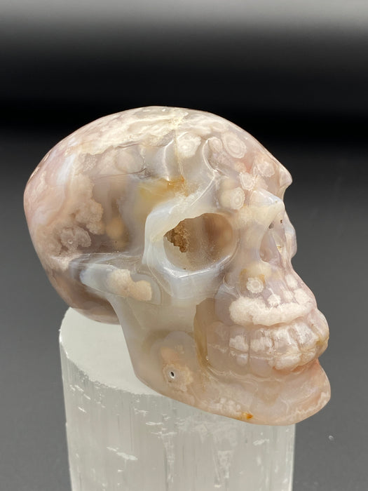Flower Agate Skull
