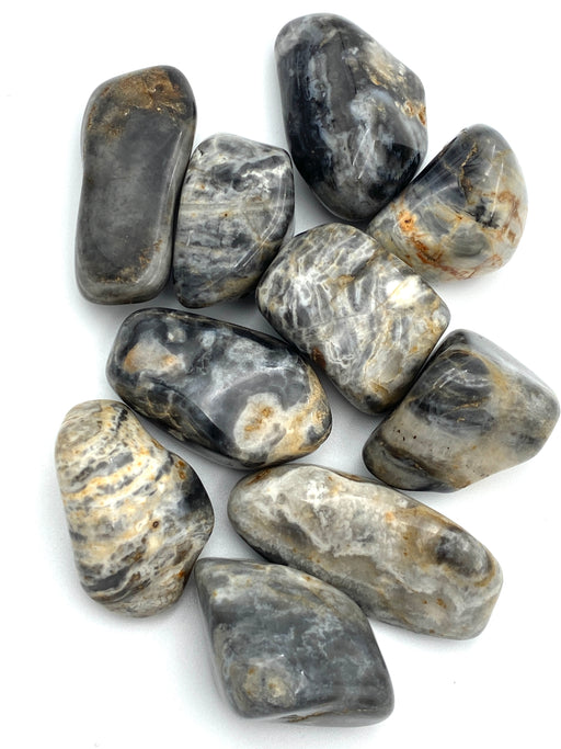 Silver Leaf Jasper Tumbled Stone