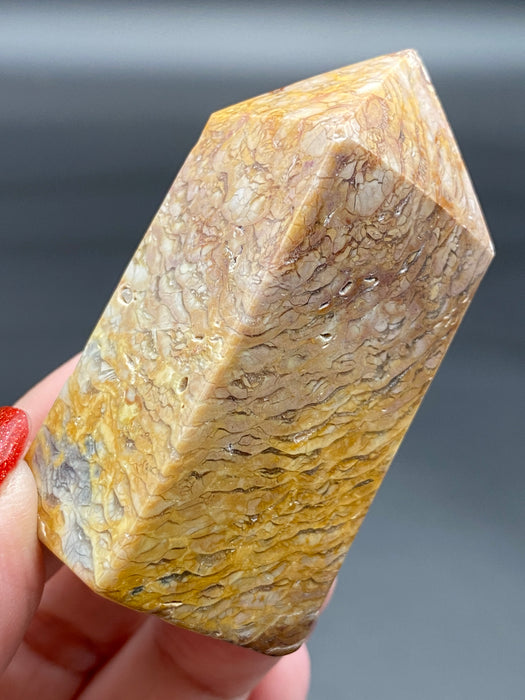 Ibis Jasper Points - Various Choices