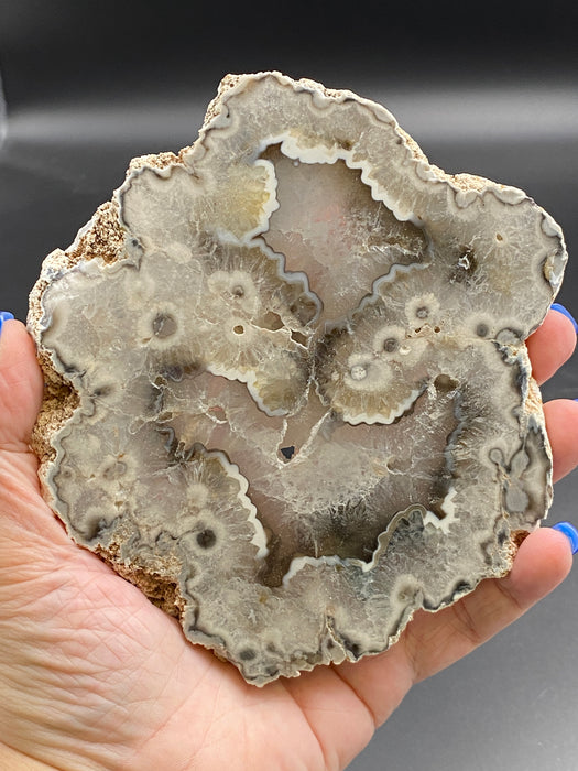 Black Argentina Agate Slabs - Various Choices