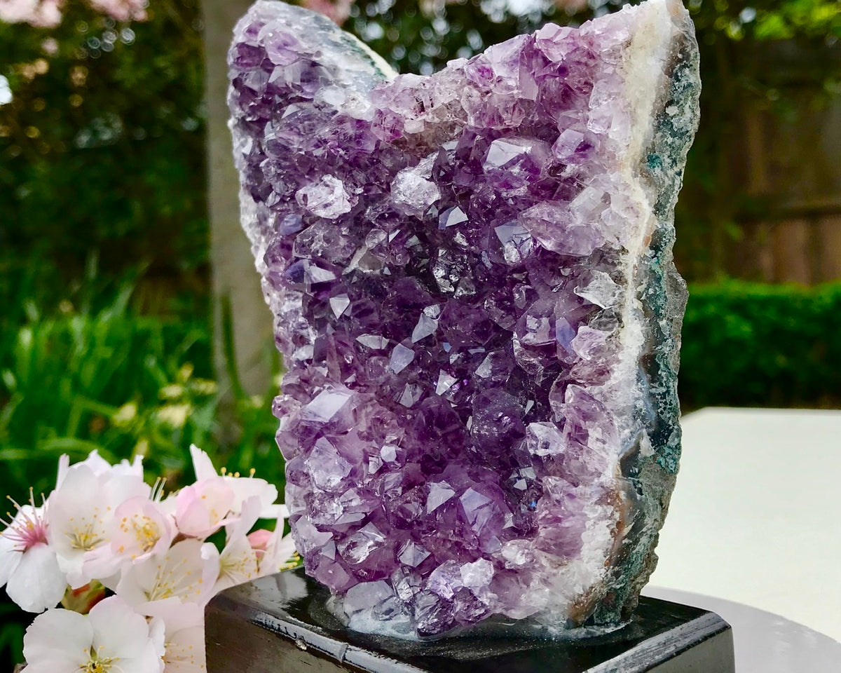 Self Isolation – Crystal Sanctuary Australia