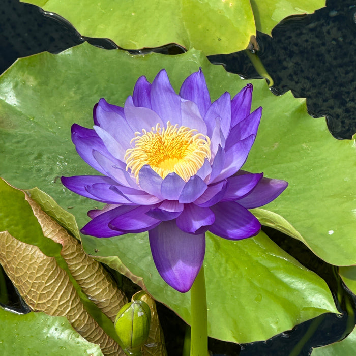 Choosing Growth Over Damage