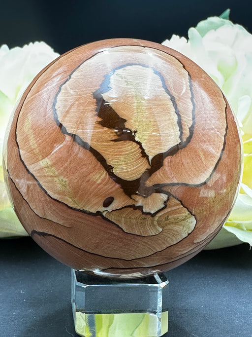 Arizona Picture Sandstone Sphere