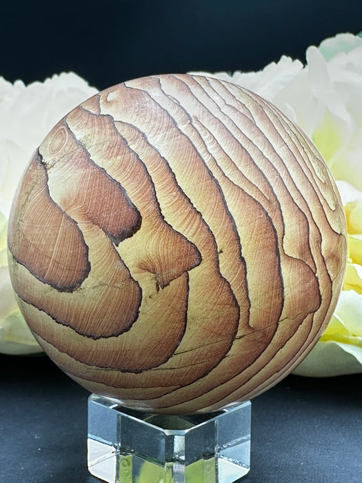 Arizona Picture Sandstone Sphere