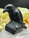 Beautifully carved and polished Black Obsidian Raven