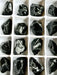 Black Obsidian Raw Specimen