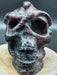 Garnet (Firework) and Astrophyllite Skull with Snake
