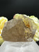 Gold Rutile Raw Specimen