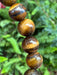 Tigers Eye Bead Bracelet Jewellery