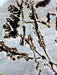 Picture Jasper Leaf Shaped Plate Carving