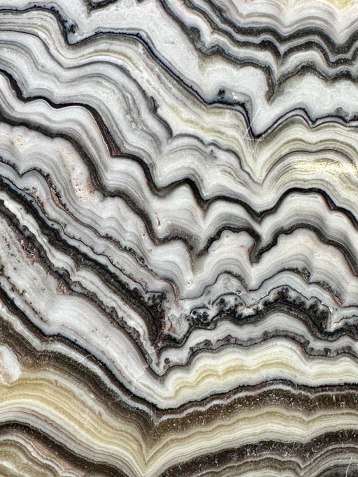 Zebra Calcite Coaster/Slab Crystal
