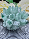 Green Phantom Quartz Seed Cluster Crystal