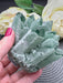 Green Phantom Quartz Seed Cluster Crystal