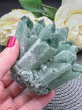 Green Phantom Quartz Seed Cluster Crystal