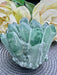 Green Phantom Quartz Seed Cluster Crystal
