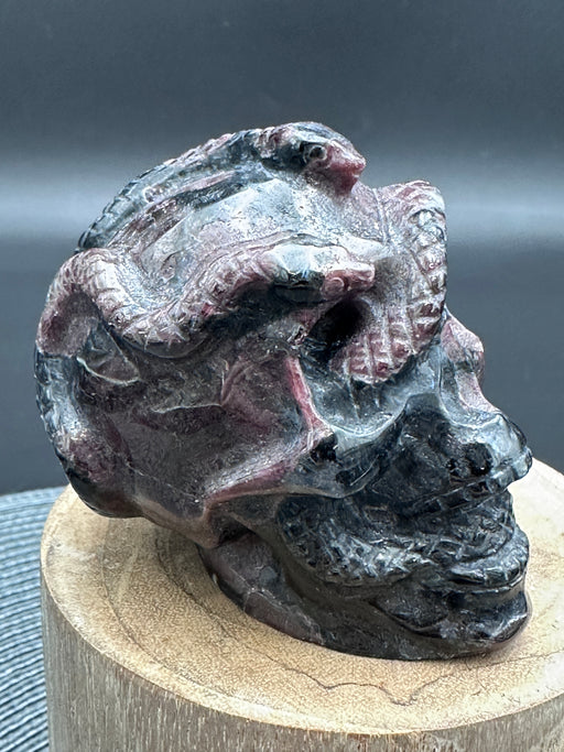 Garnet (Firework) and Astrophyllite Skull with Snake