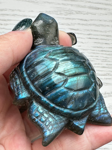 Crystal Labradorite Turtle