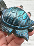 Labradorite Turtle - 110gm