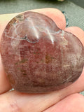 Petrified Wood Hearts - Various Choices