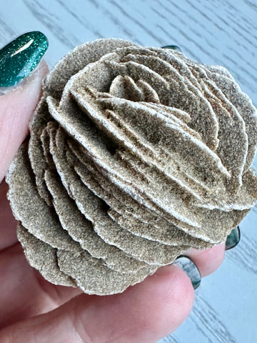 Desert Rose Specimen - Various Choices