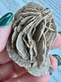 Desert Rose Specimen - Various Choices
