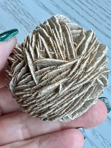 Desert Rose Specimen - Various Choices