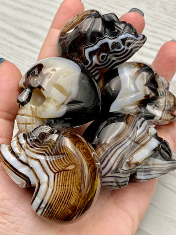 Black Banded Agate Skulls Crystal